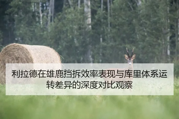 利拉德在雄鹿挡拆效率表现与库里体系运转差异的深度对比观察（leyu）